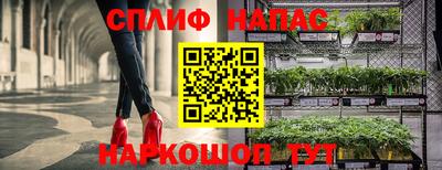 дмт Балахна