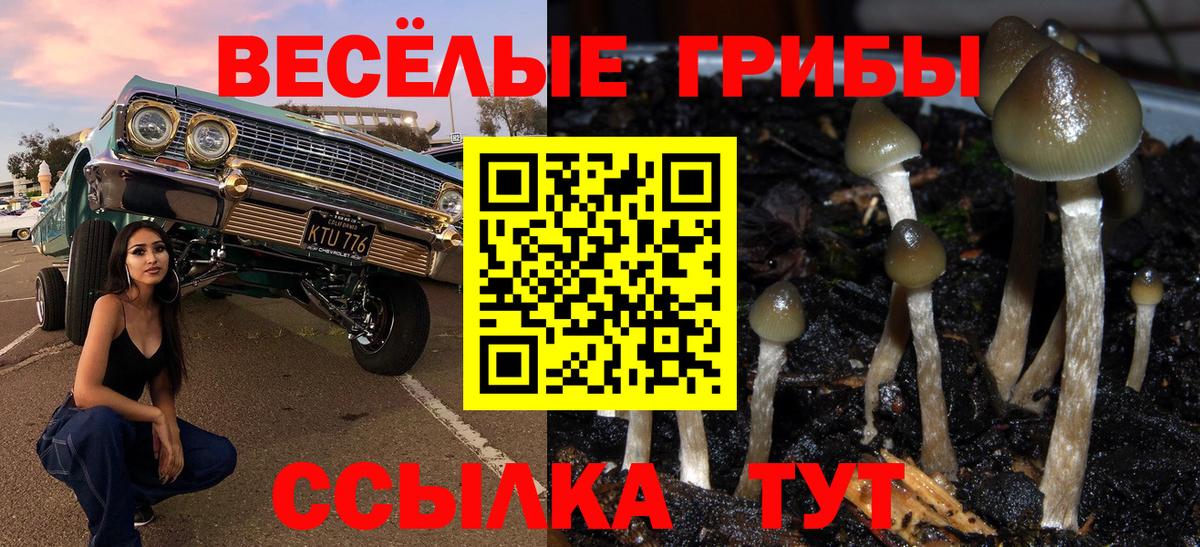 Псилоцибиновые грибы мухоморы Губкинский